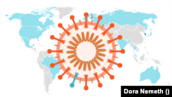 Карта поширення нового штаму коронавірусу «омікрон» 