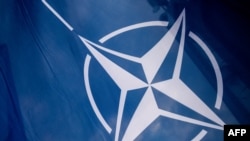 З 39 країнами-членами та майже 80 фахівцями CCDCOE є найбільшим Центром передового досвіду в НАТО, який сприяє міжнародній співпраці та координації у сфері кібербезпеки