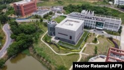 Չինաստան - Ուհանի Վիրուսաբանության ինստիտուտի լաբորատորիան, արխիվ