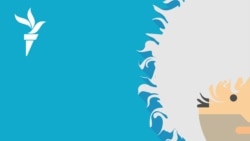 Драка на осетино-ингушской границе | #251