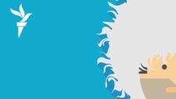 Дагестанцу отказали в расследовании пыток | #227