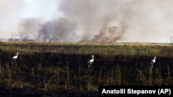 Пылающее поле на юге Украины, июль 2023 года