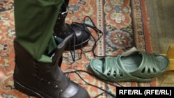 Иллюстративное фото