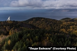 Лес на берегу Байкала