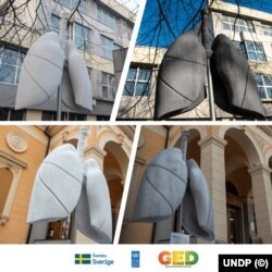 U Sarajevu u januaru 2022. provedena kampanja "Pluća grada"