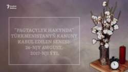 Azat Adalga: Pagtaçylyk hakynda