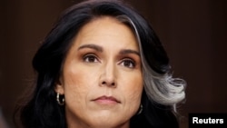 ԱՄՆ ազգային հետախուզության տնօրեն Թալսի Գաբարդ, արխիվ