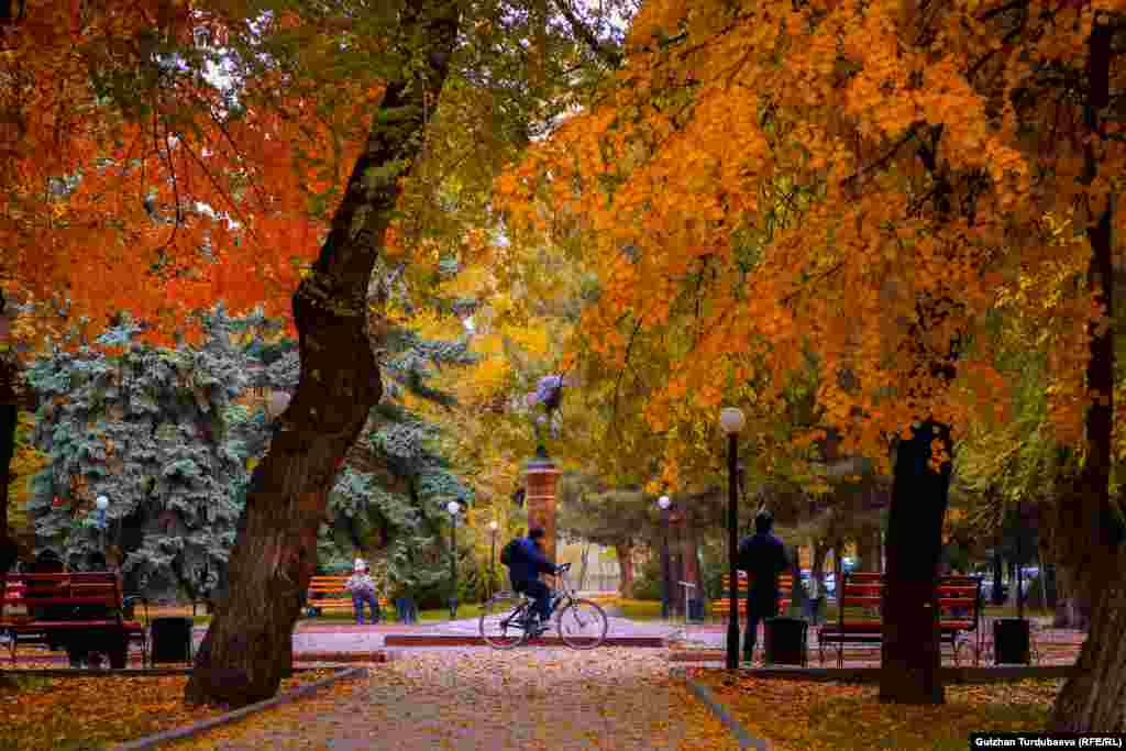 Бул сүрөт француз жазуучусу Альбер Камюнун "Күз - жаратылыштын экинчи жазы, анда ар бир жалбырак гүлгө айланат" деген сөзүн эрксизден эске салат.&nbsp;