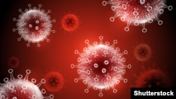 Илустрација