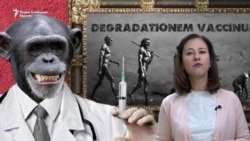 Како коронавирусот го смени животот на луѓето?