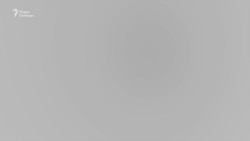 США, Украина и Европа. Чего ожидать от переговорного процесса
