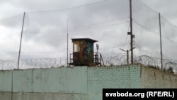 Агароджа магілёўскае калёніі