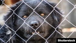 Иллюстративная фотография