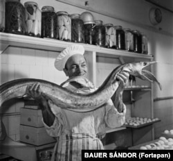 Bucătar-șef la Budapesta în 1960.