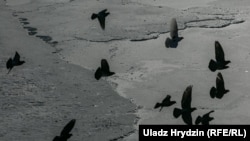 Фота ілюстрацыйнае