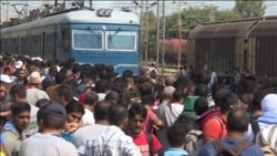 Турканици на мигрантите во Гевгелија