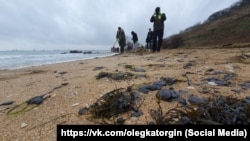 Волонтери збирають мазут на узбережжі в Керчі після аварії російських танкерів у Керченській протоці, 22 грудня 2024 року