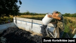Vino proizvedeno u BiH tradicionalno ima dobar plasman, kaže Vasić (ilustrativna fotografija)