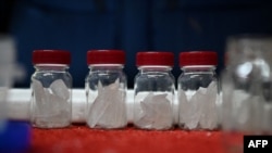 نمونه‌هایی از هسته‌های یخی که از عمق یخچال‌های پامیر برداشته شده‌اند