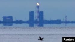 Спалювання газу Росією. Газовий факел у бухті Портова на узбережжі Фінської затоки в Ленінградській області, 26 серпня 2022 року