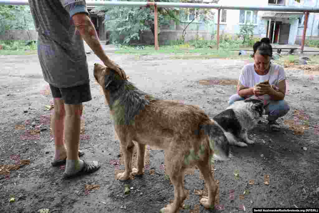 «Хотіли виїхати, навіть шукали будинок у Черкасах, але ціни захмарні, а пропонують лише розвалені хати. Я вже думав: можна було б виїхати – завантажити рідних і речі в машину. Стан здоров’я дозволяє: ще кілька днів, і буду нормально за кермом. І собак забрав би. Ось куди я кину Алмаза? Він мені стільки разів життя рятував, от як їх можна кинути?» – каже житель Добропілля Сергій