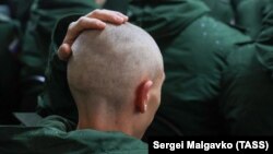 Иллюстративное фото 