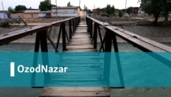 Мамадали Маҳмудовнинг OzodNazarи: