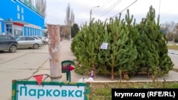 Ялинковий базар в Феодосії, архівне фото