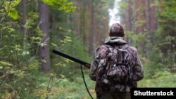 Охотник в лесу, иллюстрационное фото