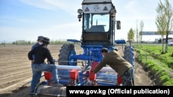 Иллюстрациялык сүрөт.