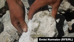Чоң-Алай районунун Дароот-Коргон айылындагы алтын кенинен чыккан таш.