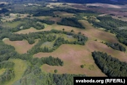 Сеньненскі раён, Віцебская вобласьць, 2019 год. Ілюстрацыйнае фота