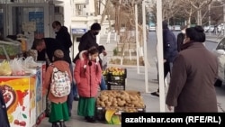 Illýustrasiýa suraty