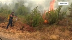 Crnogorska Vlada: Manje para za gašenje požara, a više za partije