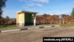 Нарыхтаваная драўніна ў Магілёўскай вобласьці, 2019 год. Ілюстрацыйнае фота