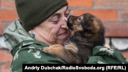 Санінструктор «Вікторівна» бавиться з цуциком Мухою перед поїздкою на концерт у Маріуполь