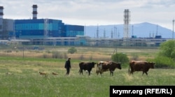 Таврическая ТЭС в Крыму, архивное фото