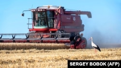 Фермеры в оккупации вынуждены работать в невыгодных для себя условиях (фото иллюстративное)