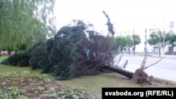 Наступствы навальніцы. Ілюстрацыйнае фота