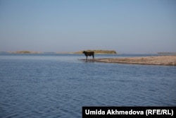 Озеро Айдаркуль