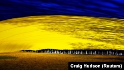 Проєкт «мирного плану» передбачає, що Україна має закріпити неприєднання та відмову від НАТО у своїй Конституції, а чисельність ЗСУ буде обмежена 