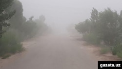 Duzly tupan Türkmenistanyň demirgazyk goňşusy Özbegistanyň Garagalpagystan awtonom respublikasyndan geldi. 