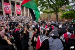 Пропалестинские протесты в Гарвардском университете