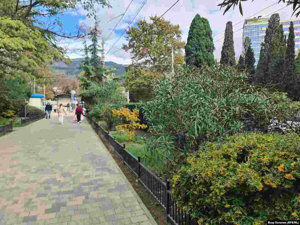 Субтропическая растительность радует глаз в Ялте