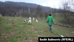 Prema najavama iz Ministarstva spoljne trgovine i ekonomskih odnosa BiH popis poljoprivrede u BiH trebao bi početi 2023. godine, kako bi se stekao uvid u stvarno stanje u poljoprivrednom sektoru