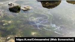 «Масляную пленку» заметили в Черном море в Керчи, 29 марта 2025 года