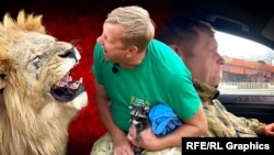 Владелец парка львов «Тайган» и зоопарка «Сказка» крымчанин Олег Зубков. Коллаж