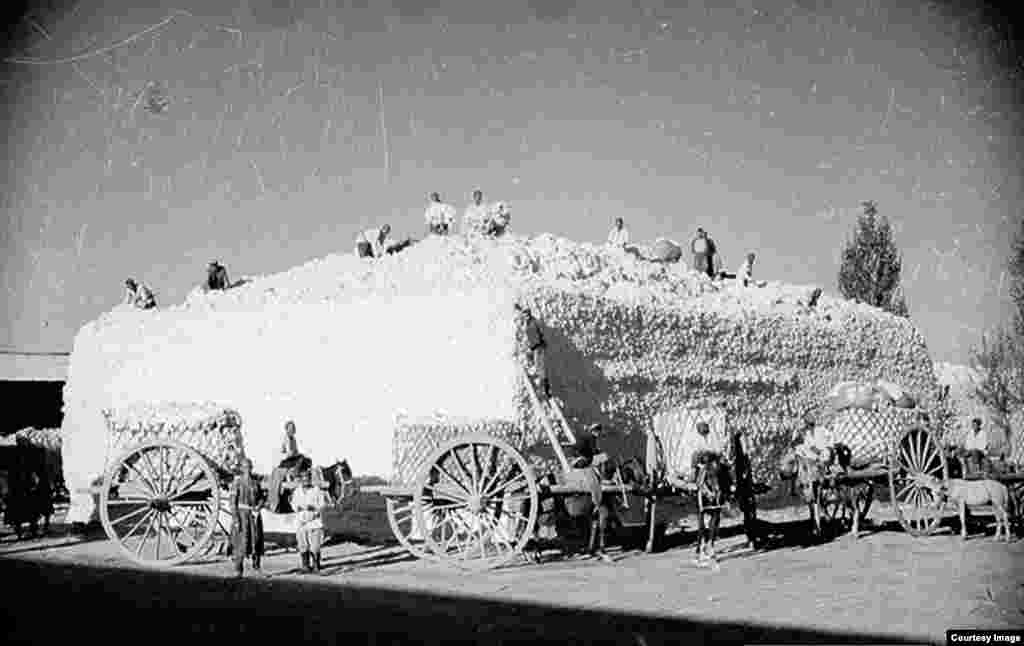 Pamuq bereketi. 1930-ıncı yıllar. Pamuq toplanması ve işlenmesi — Penson icadınıñ ayrı bir saifesi. Özbek Sovet Sotsialistik Cumhuriyeti bütün Sovetler Birliginiñ esas pamuq temincisi oldı, 70 fayızını temin ete edi