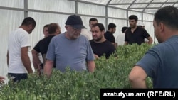 Armenia - A flower greenhouse in Armavir province, July 11, 2025.