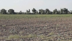 Türkmenistanda obasenagat toplumyny özgertmek teklip edilýär, eýsem, bu “özgerişler” ilata nähili täsir ýetirer?